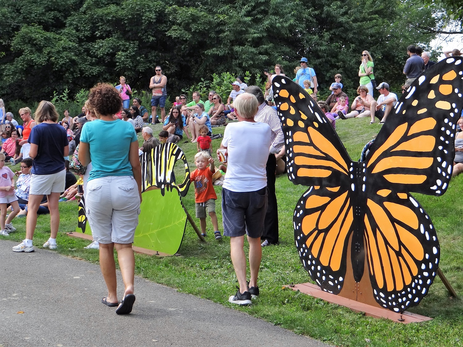 Monarch Butterfly Festival Edible Western NY